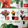 antevisão folheto Lidl 1 a 7 fevereiro_32.jpg